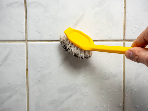 Best Commercial Mold Removal  in Riddle, OR