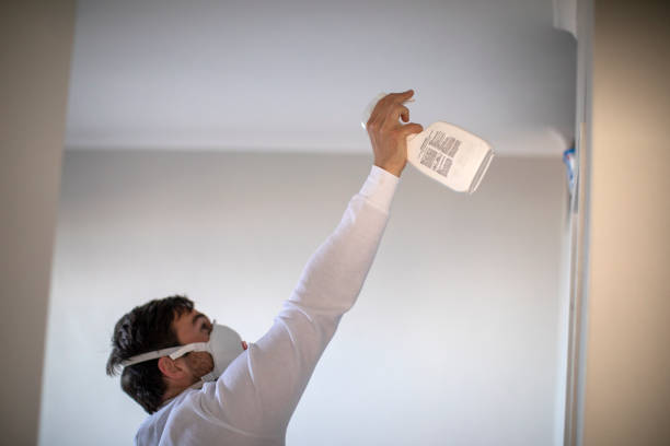 Certified Mold Removal in Riddle, OR